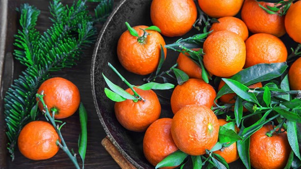 Foto - Kabuk deyip geçmeyin! Tam bir şifa kaynağı