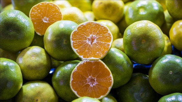 Foto - Kabuk deyip geçmeyin! Tam bir şifa kaynağı