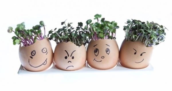 Foto - Kabuklarını sakın atmayın!