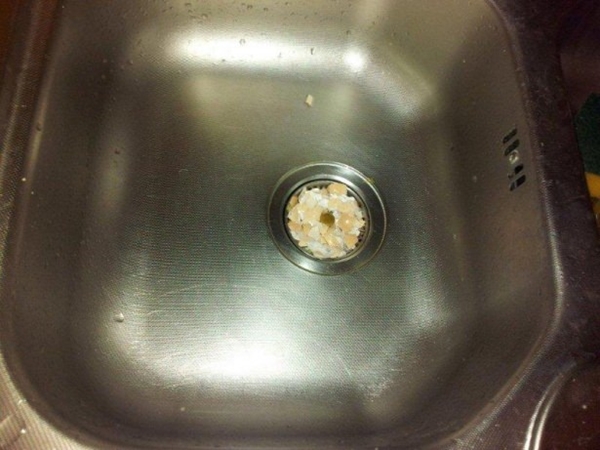 Foto - Kabuklarını sakın atmayın!