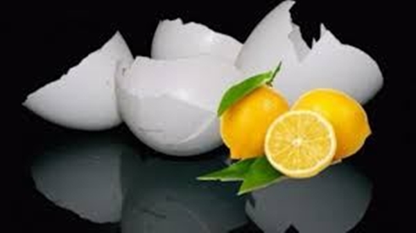 Foto - Kabuklarını sakın atmayın!