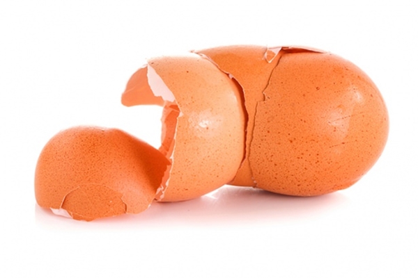 Foto - Kabuklarını sakın atmayın!