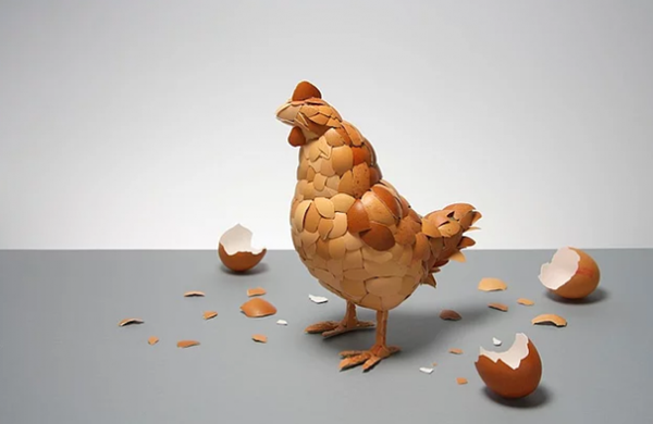 Foto - Kabuklarını sakın atmayın!