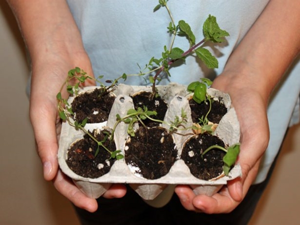 Foto - Kabuklarını sakın atmayın!