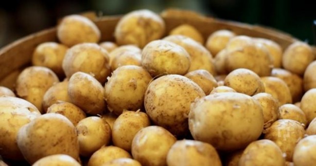 Foto - Kabuklarını sakın çöpe atmayın!