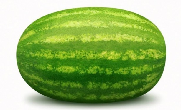 Foto - Kabuklarını sakın çöpe atmayın!