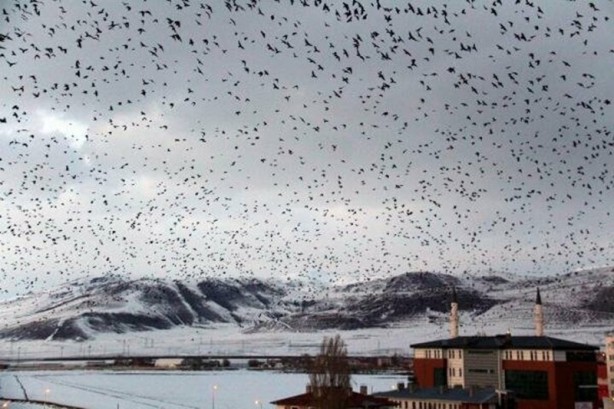 Foto - Kabus gibi çöktü! Yeniden ortaya çıktı vatandaşlar tedirgin oldu