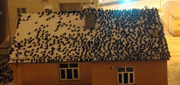 Foto - Kabus gibi çöktü! Yeniden ortaya çıktı vatandaşlar tedirgin oldu