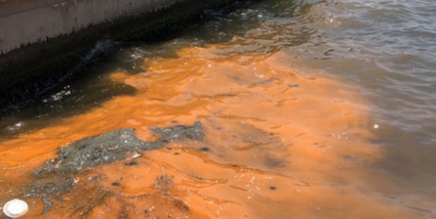 Kâbusun sesleri mi? O İl olmaya aday: 'kırmızı- turuncu renk' uyarısı: Gören şaştı kaldı! Korkutan haber