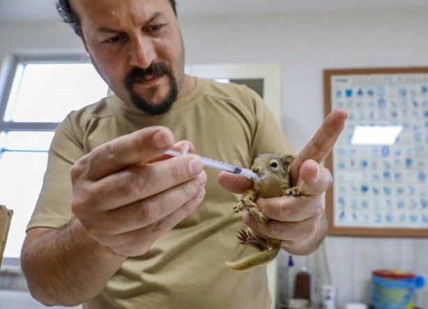 Kaçakçılardan kurtarılan yavrular hayata tutunuyor