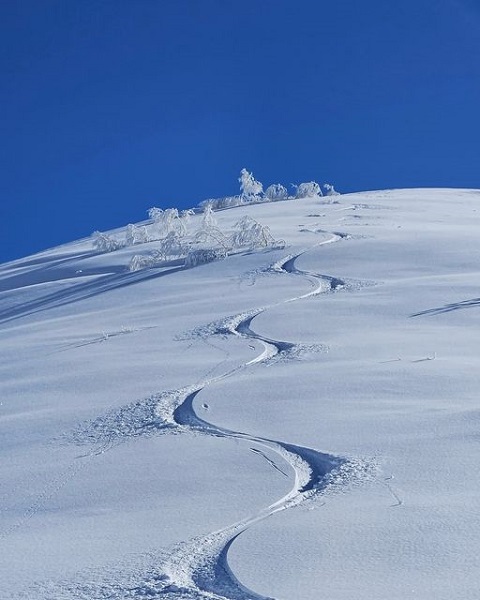 Foto - Kaçkar Dağları'nda "heliski" heyecanı 