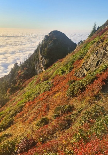 Foto - Kaçkar’larda iki mevsim aynı anda yaşanıyor