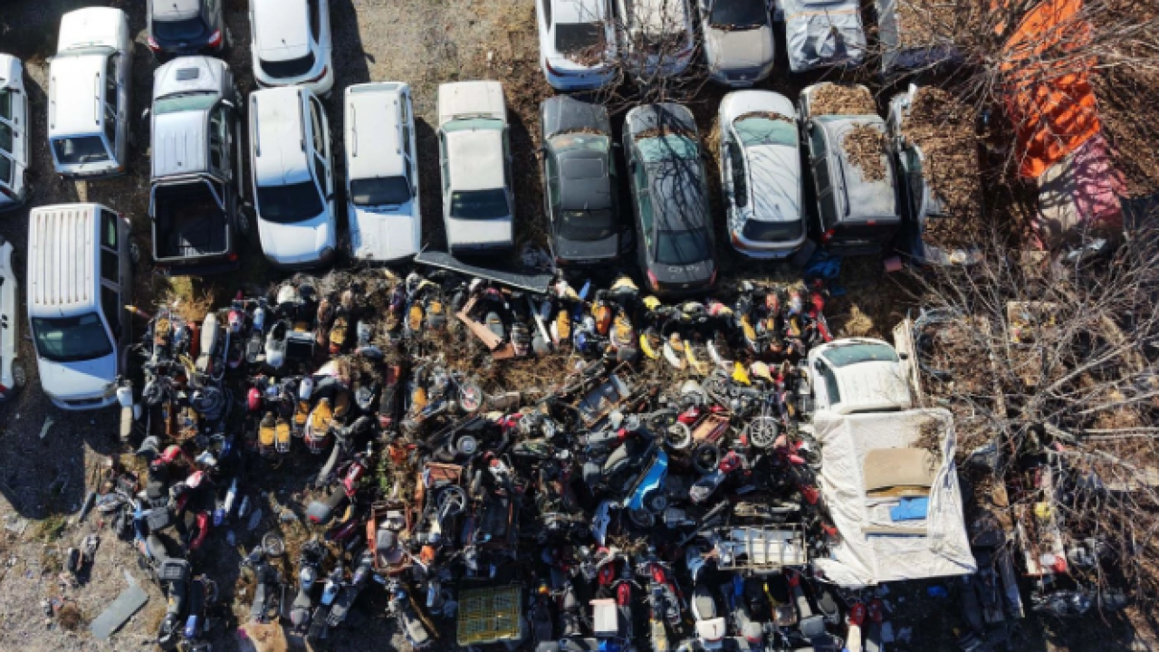 Kaderine terk edilmişler! 500 milyon liralık servet çürüyor