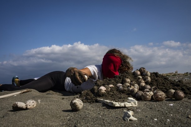 Foto - Kadim deniz kaplumbağalarının tehlikeli yolculuğu böyle görüntülendi
