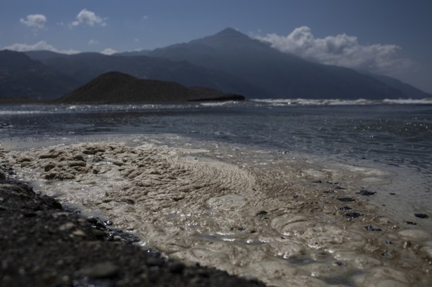 Foto - Kadim deniz kaplumbağalarının tehlikeli yolculuğu böyle görüntülendi