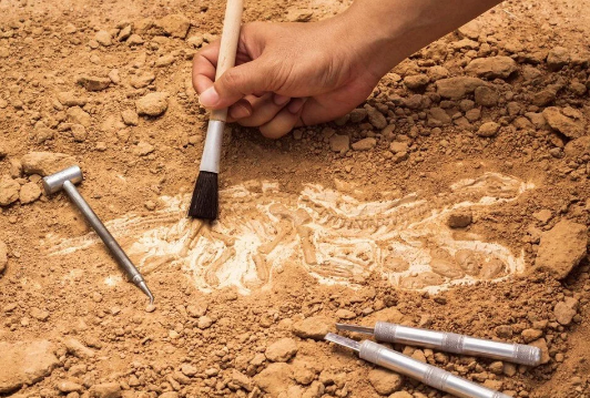 Foto - Kadın detayını duyan şaşkına dönüyor! 2 bin yıllık mezarın gizemi çözüldü