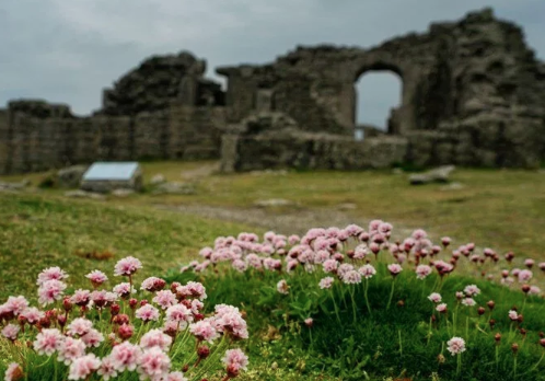 Foto - Kadın detayını duyan şaşkına dönüyor! 2 bin yıllık mezarın gizemi çözüldü