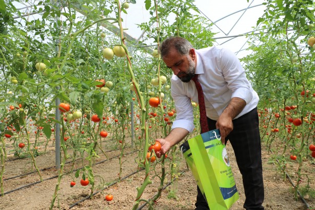 Foto - Kadın girişimci, devlet desteğiyle sera kurdu! Aile bütçesini destekliyor