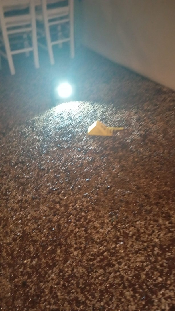 Foto - Kadın işletmeciye ''dayı'' kurşunu! 10 bin liraya tetikçi tutmuş