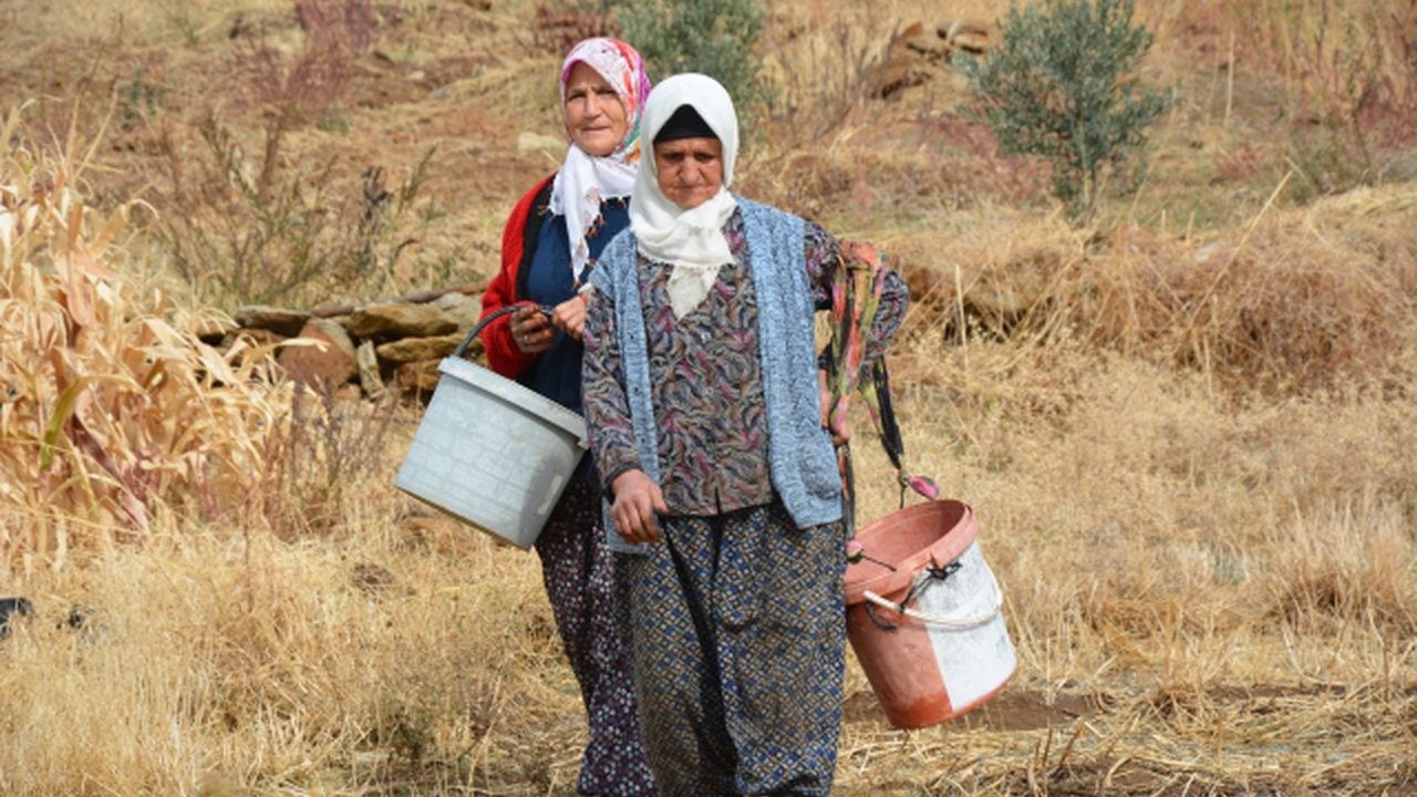 Foto - Kadınlar dağlardan topluyor, dev kozmetik firmaları oluk oluk para akıtıyor! Yıllarca yüzüne bakılmayan ürün köylüyü zengin etti