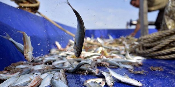 Foto - Kadınların başına talih kuşu kondu! 6 bin TL ödemeyi başvuran alacak! Ödemeler oradan yapılacak