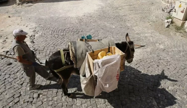 Foto - Kadrolu eşeklere mesai kıyağı