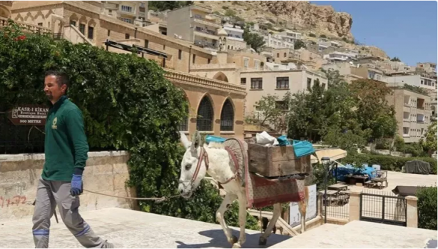 Foto - Kadrolu eşeklere mesai kıyağı