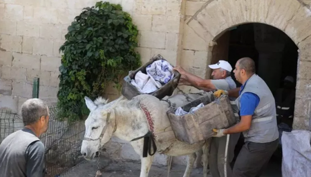 Foto - Kadrolu eşeklere mesai kıyağı
