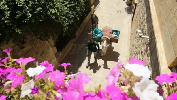 Foto - Kadrolu eşeklere mesai kıyağı