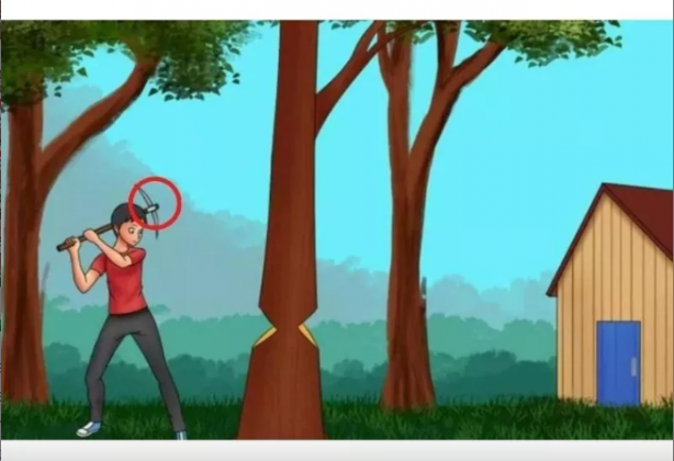 Foto - Kafanızı fena karıştıracak zeka testi! Sürüdeki uyuyan koyunu sadece bir dahi 10 saniyede buldu