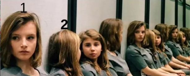 Foto - Kafanızı fena karıştıracak zeka testi! Sürüdeki uyuyan koyunu sadece bir dahi 10 saniyede buldu