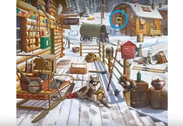 Foto - Kafanızı fena karıştıracak zeka testi! Sürüdeki uyuyan koyunu sadece bir dahi 10 saniyede buldu