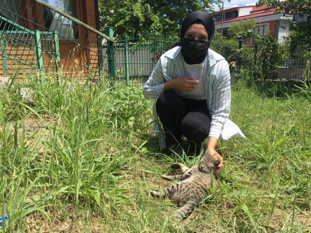Foto - Kafasına kova sıkışan kedi, vatandaşların çabasıyla kurtarıldı