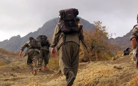 Foto - Kafasını sadece ağlamak için ininden çıkaran PKK yalvardı! Türkiye’nin operasyonlarını durdurun