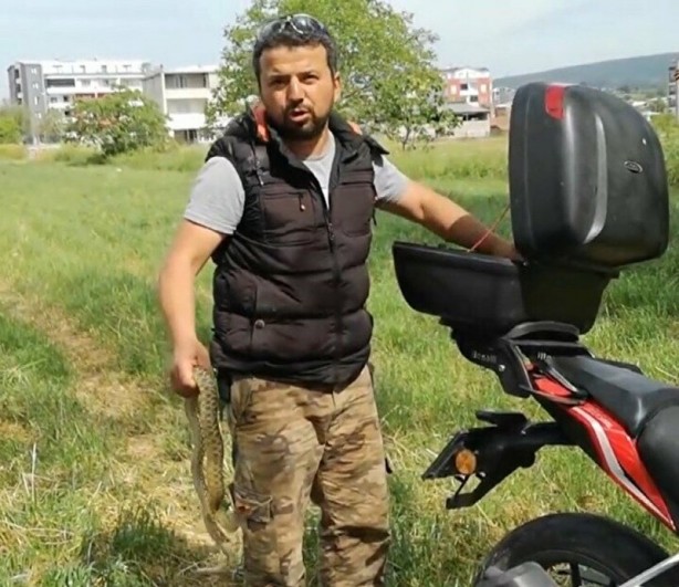 Foto - Kafeste güvercinleri boğan yılanı eliyle böyle yakaladı!