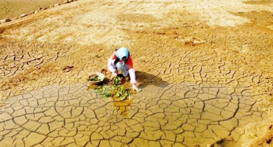 Foto - Kahreden haber geldi! Tarım devi iflas etti
