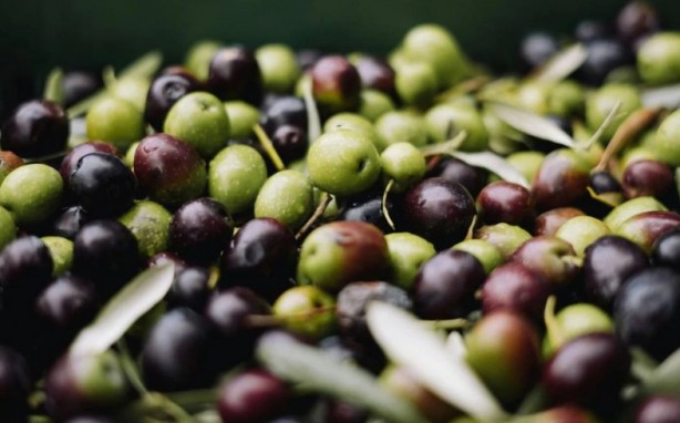 Foto - Kahvaltıda en çok o tercih ediliyor! Zeytin yemeden önce bilmeniz gerekenler