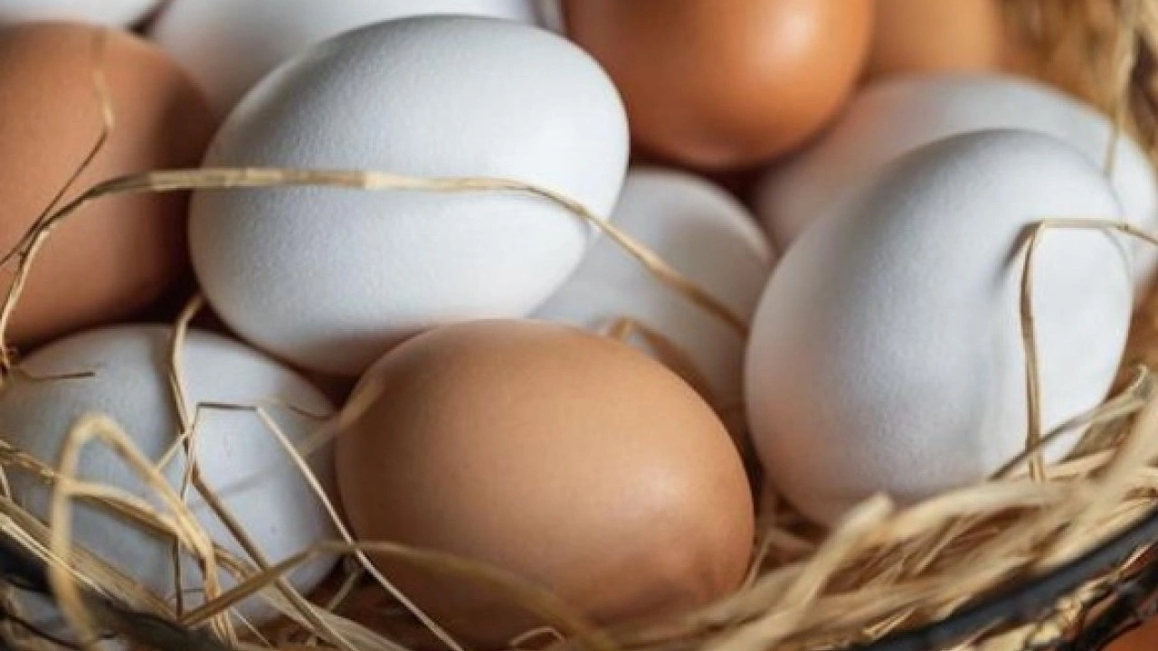 Foto - Kahvaltıda en sık tercih ettiğimiz besin! 1 günde 2 yumurta yerseniz bakın ne oluyor?