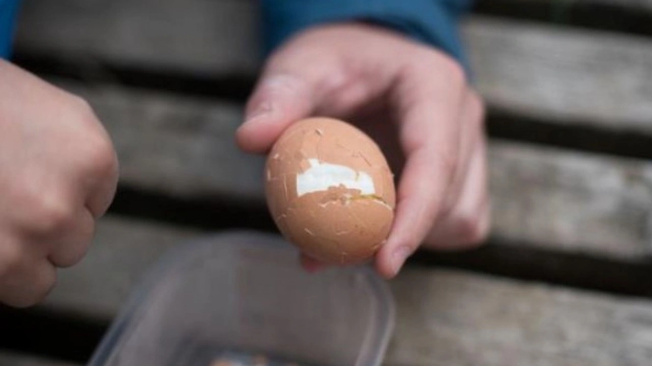 Foto - Kahvaltıda en sık tercih ettiğimiz besin! 1 günde 2 yumurta yerseniz bakın ne oluyor?