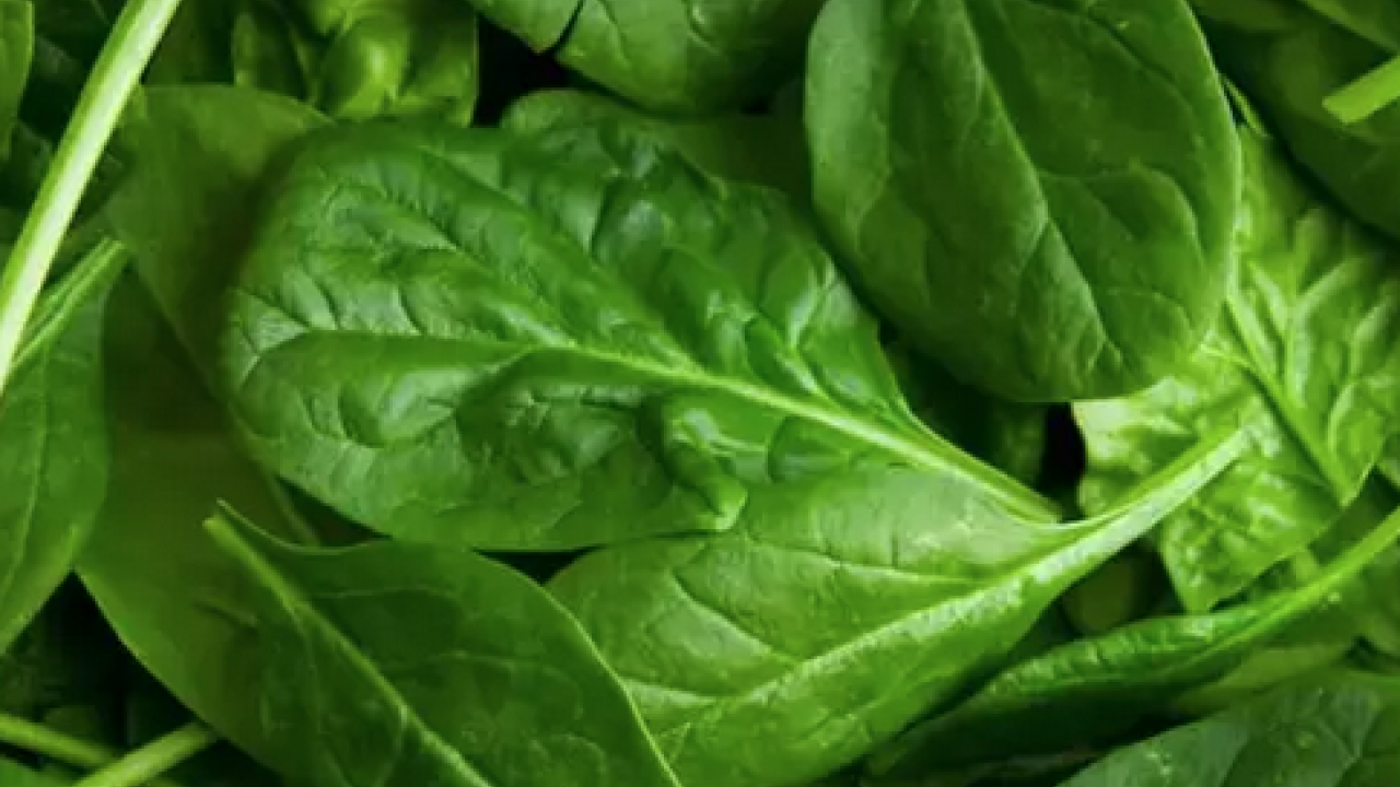 Kahvaltıda her gün 1 kaşık da olsa tüketin! Akciğerleri temizliyor vücudu yeniliyor! Mucize besinler 