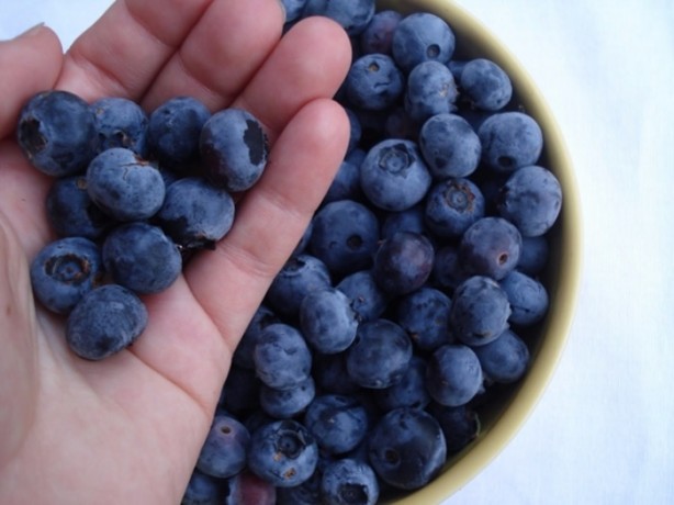 Foto - Kahvaltıda yerseniz tok tutuyor!