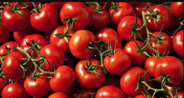 Foto - Kahvaltıyı böyle yapanlar hapı yuttu! Sakın domatesi bu şekilde tüketmeyin! Yoksa...