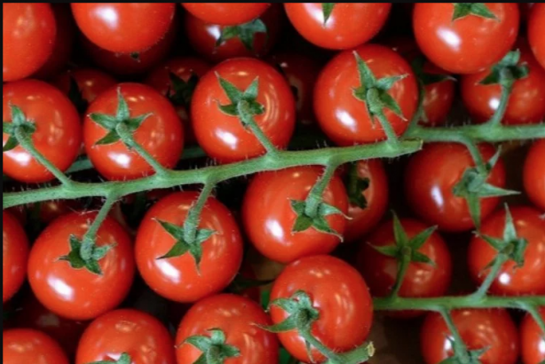 Kahvaltıyı böyle yapanlar hapı yuttu! Sakın domatesi bu şekilde tüketmeyin! Yoksa...