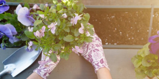 Foto - Kahve telvesini sakın çöpe atmayın! Sıra dışı öyle faydaları var ki: Kahve çekirdeği tozu yemenin faydaları 