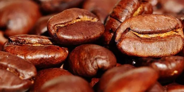 Foto - Kahve telvesini sakın çöpe atmayın! Sıra dışı öyle faydaları var ki: Kahve çekirdeği tozu yemenin faydaları 