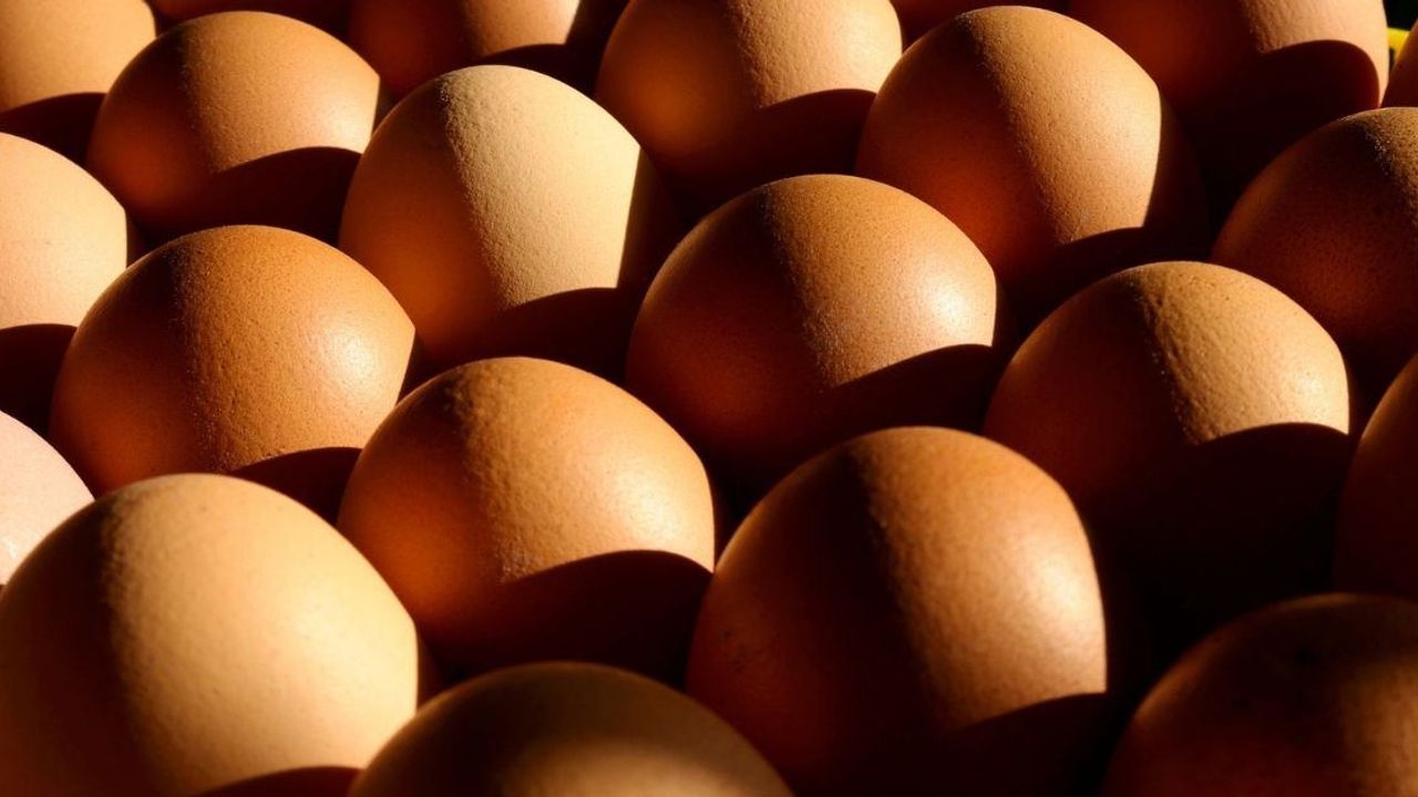 Foto - Kahverengi yumurta satışına yasak! Sebebi herkesi şaşırttı