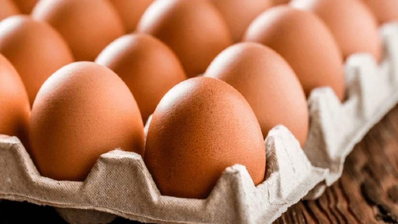 Kahverengi yumurta satışına yasak! Sebebi herkesi şaşırttı