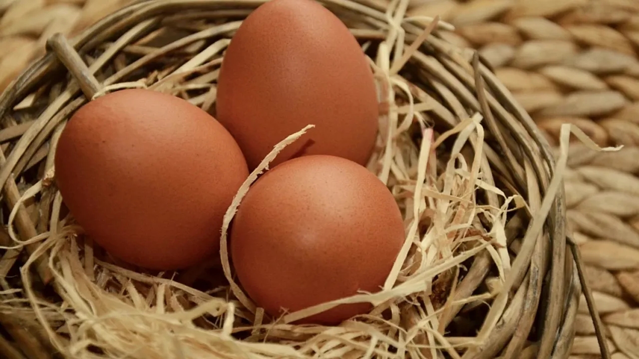 Foto - Kahverengi yumurta satışına yasak! Sebebi herkesi şaşırttı