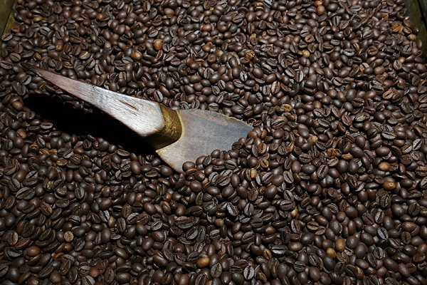 Foto - Kahveseverleri üzen haber! Bakın iklim değişikliği onları nasıl etkiliyor