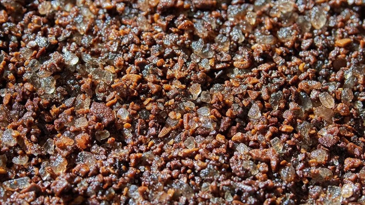 Kakao neye yarar? Neyi koruduğunu, etkisini Harvard araştırdı: Bir avucu bile yetiyor! Kalp ve damar sistemini güçlendiriyor